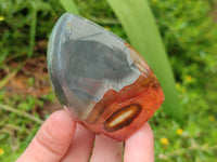 Polished Polychrome Jasper Flames x 6 From NW Coast, Madagascar