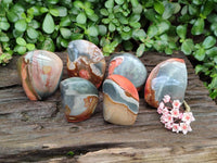 Polished Polychrome Jasper Flames x 6 From NW Coast, Madagascar