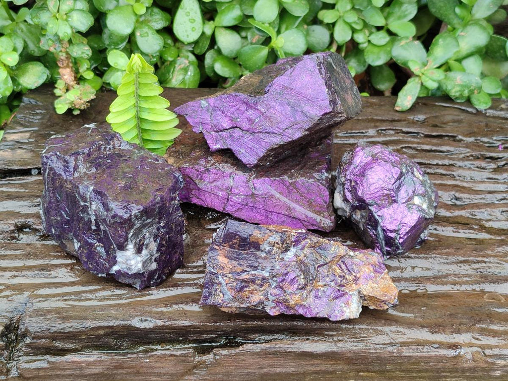 Natural Metallic Cobbed Purpurite Specimens x 5 From Erongo, Namibia