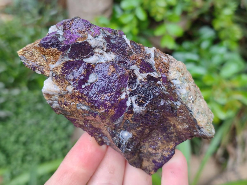 Natural Metallic Cobbed Purpurite Specimens x 5 From Erongo, Namibia