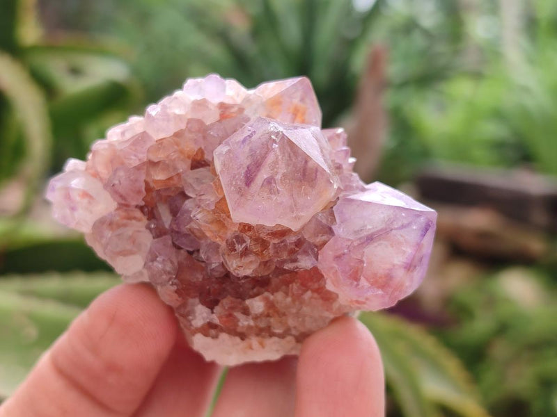 Natural Mixed Spirit Quartz Crystals And Clusters x 28 From Boekenhouthoek, South Africa - Toprock Gemstones and Minerals 
