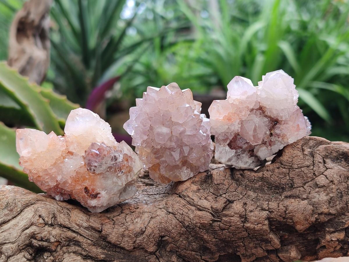 Natural Mixed Spirit Quartz Crystals And Clusters x 28 From Boekenhouthoek, South Africa