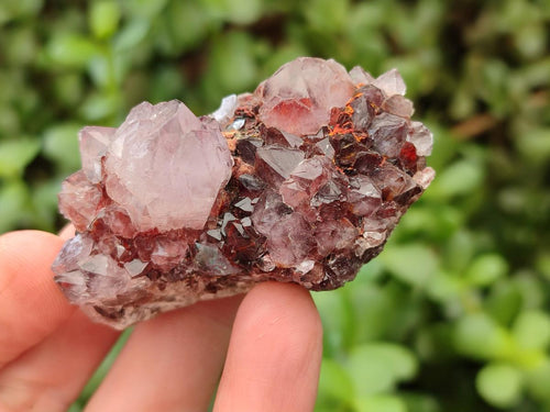 Natural Mixed Spirit Quartz Crystals And Clusters x 28 From Boekenhouthoek, South Africa - Toprock Gemstones and Minerals 