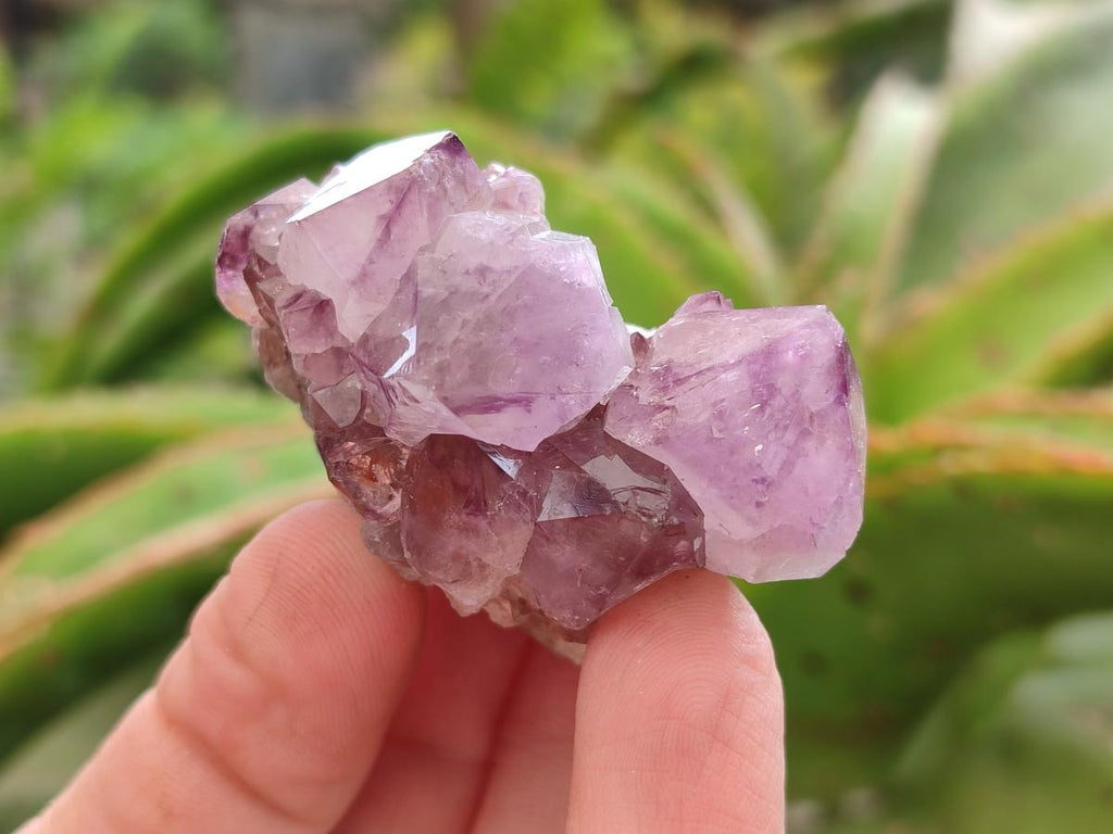 Natural Mixed Spirit Quartz Crystals And Clusters x 28 From Boekenhouthoek, South Africa