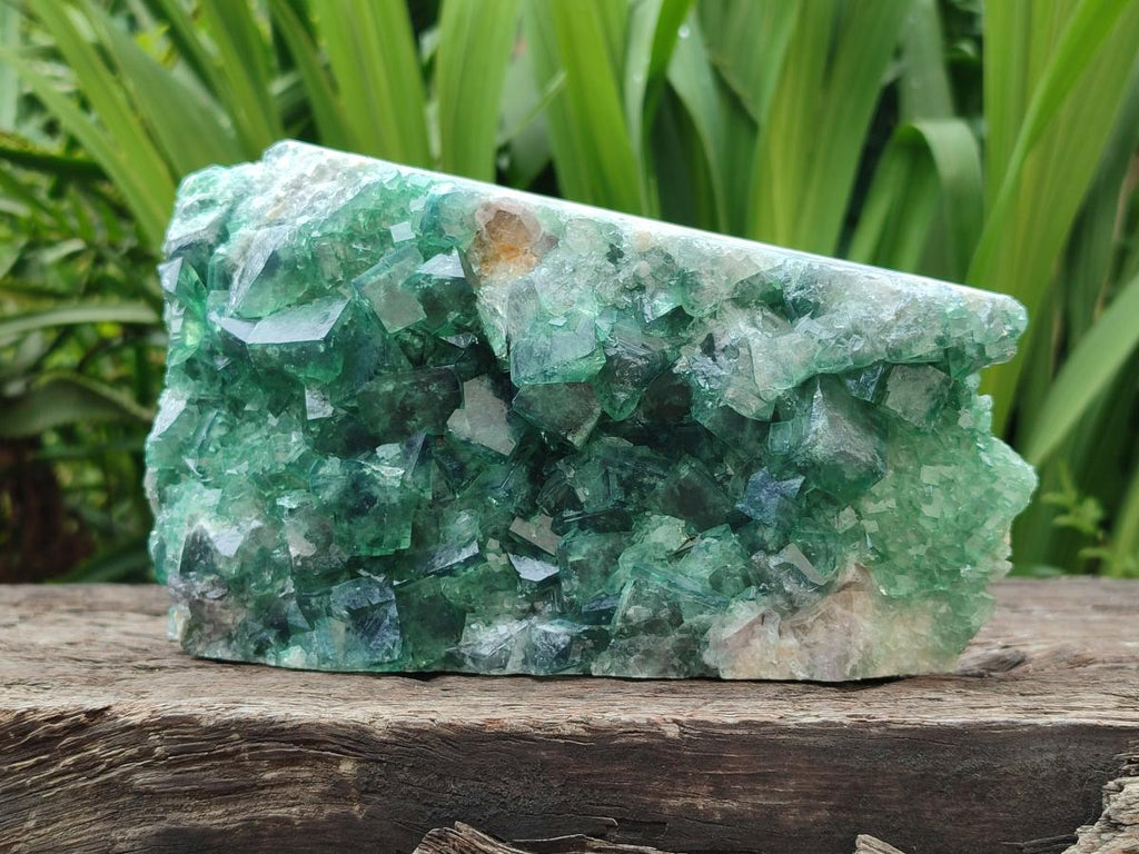 Natural Large Cubic Green Fluorite Cabinet Specimen x 1 From Mandrosonoro, Madagascar - Toprock Gemstones and Minerals 