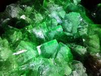 Natural Large Cubic Green Fluorite Cabinet Specimen x 1 From Mandrosonoro, Madagascar