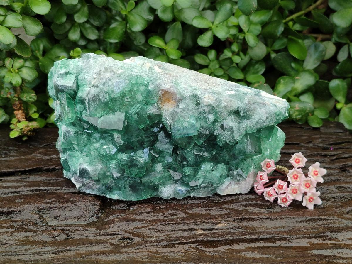 Natural Large Cubic Green Fluorite Cabinet Specimen x 1 From Mandrosonoro, Madagascar