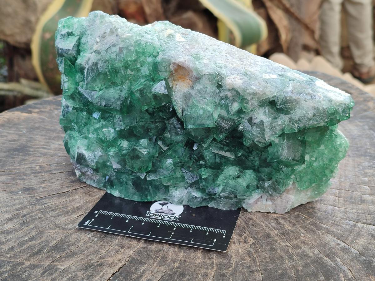 Natural Large Cubic Green Fluorite Cabinet Specimen x 1 From Mandrosonoro, Madagascar