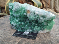 Natural Large Cubic Green Fluorite Cabinet Specimen x 1 From Mandrosonoro, Madagascar