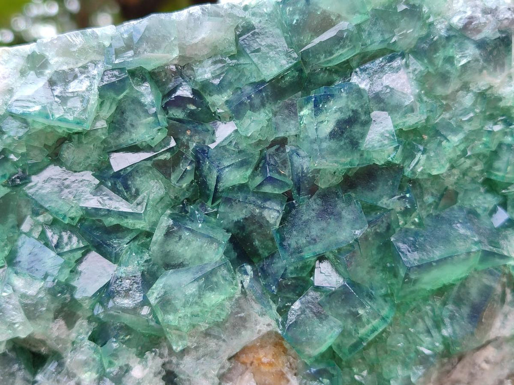 Natural Large Cubic Green Fluorite Cabinet Specimen x 1 From Mandrosonoro, Madagascar - Toprock Gemstones and Minerals 