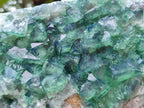 Natural Large Cubic Green Fluorite Cabinet Specimen x 1 From Mandrosonoro, Madagascar - Toprock Gemstones and Minerals 