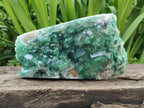 Natural Large Cubic Green Fluorite Cabinet Specimen x 1 From Mandrosonoro, Madagascar - Toprock Gemstones and Minerals 