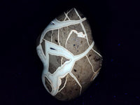 Polished Septerye Sauvage "Dragons Egg" Geode Standing Free Forms x 3 From Mahajanga, Madagascar