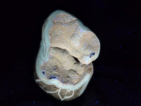 Polished Septerye Sauvage "Dragons Egg" Geode Standing Free Forms x 3 From Mahajanga, Madagascar