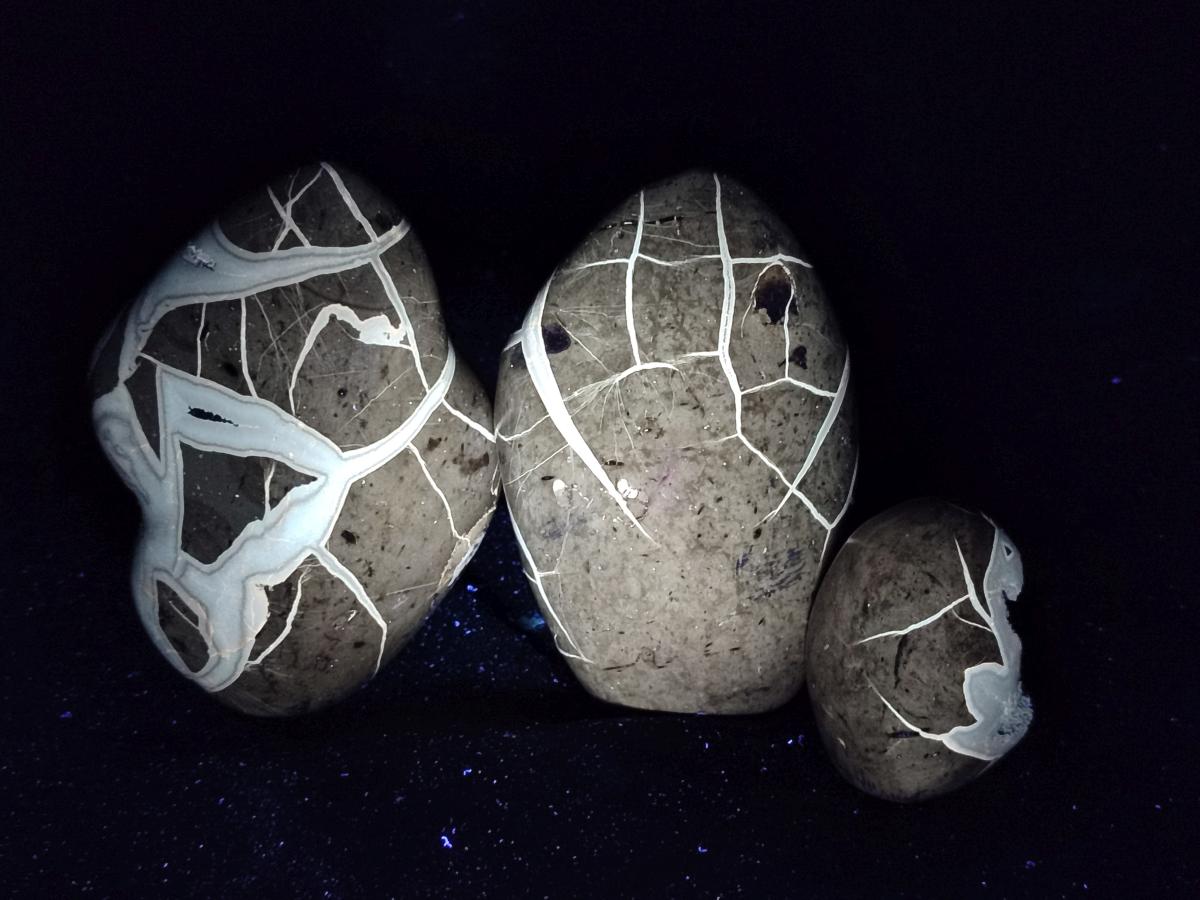 Polished Septerye Sauvage "Dragons Egg" Geode Standing Free Forms x 3 From Mahajanga, Madagascar