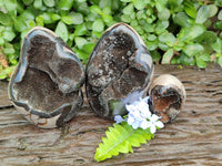 Polished Septerye Sauvage "Dragons Egg" Geode Standing Free Forms x 3 From Mahajanga, Madagascar