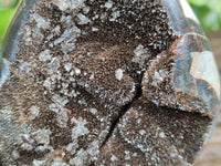 Polished Septerye Sauvage "Dragons Egg" Geode Standing Free Forms x 3 From Mahajanga, Madagascar