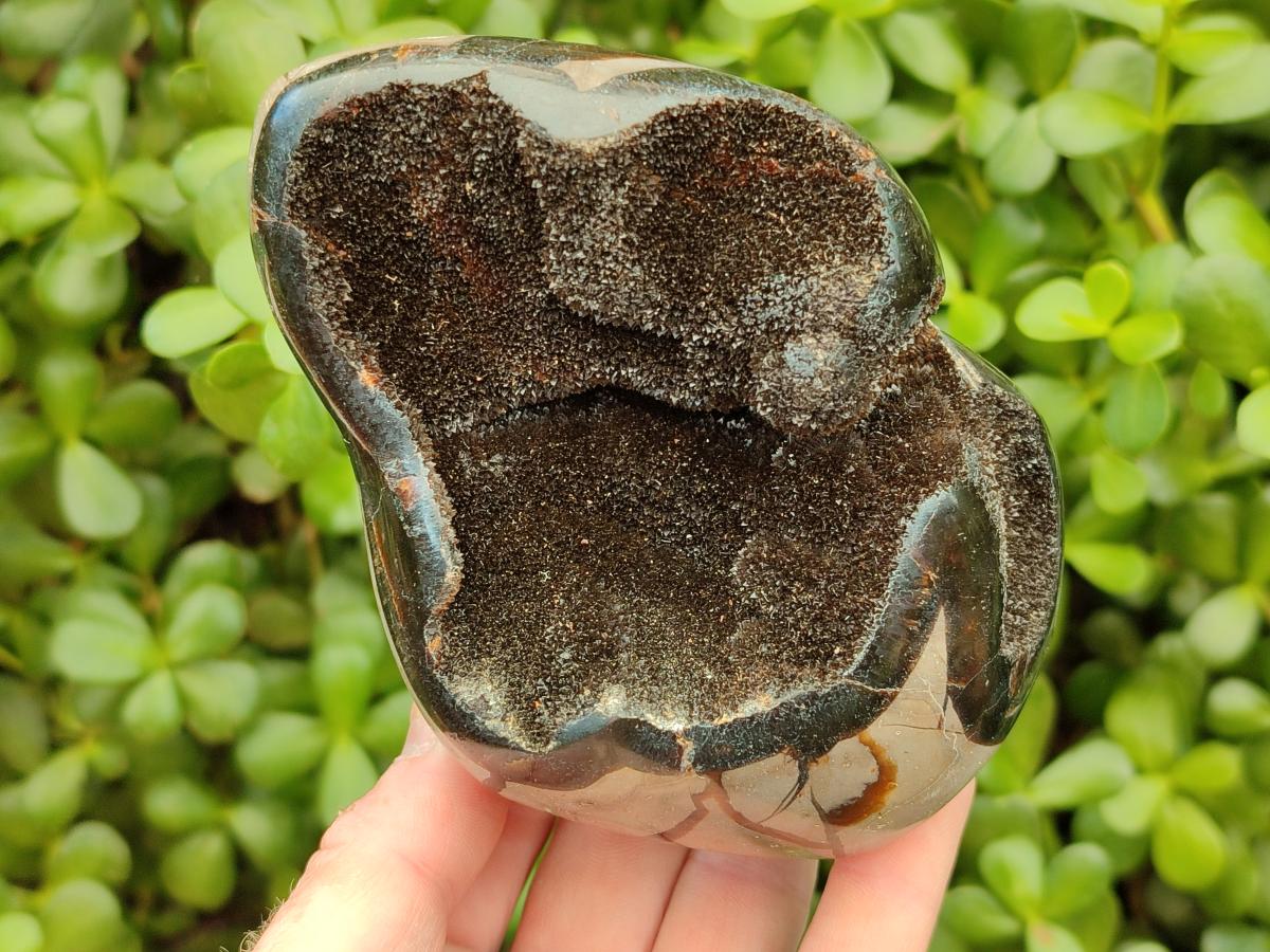 Polished Septerye Sauvage "Dragons Egg" Geode Standing Free Forms x 3 From Mahajanga, Madagascar