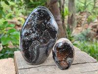 Polished Septerye Sauvage "Dragons Egg" Geode Standing Free Forms x 3 From Mahajanga, Madagascar