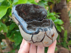 Polished Septerye Sauvage "Dragons Egg" Geode Standing Free Forms x 3 From Mahajanga, Madagascar