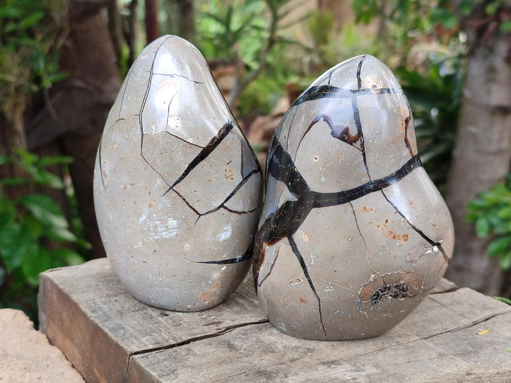 Polished Septerye Sauvage "Dragons Egg" Geode Standing Free Forms x 3 From Mahajanga, Madagascar