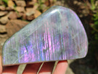 Polished Rare Purple Sunset Flash Labradorite Standing Free Forms x 2 From Madagascar