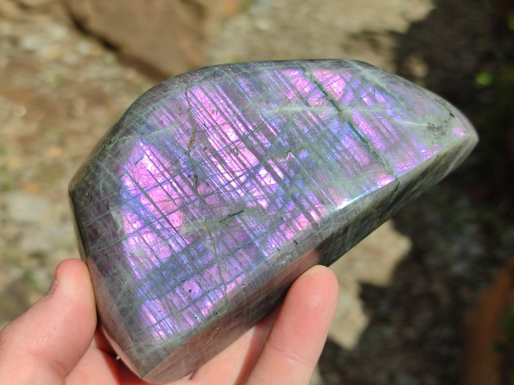 Polished Rare Purple Sunset Flash Labradorite Standing Free Forms x 2 From Madagascar