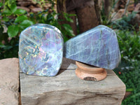 Polished Rare Purple Sunset Flash Labradorite Standing Free Forms x 2 From Madagascar