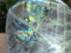 Polished Rare Purple Sunset Flash Labradorite Standing Free Forms x 2 From Madagascar