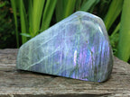 Polished Rare Purple Sunset Flash Labradorite Standing Free Forms x 2 From Madagascar