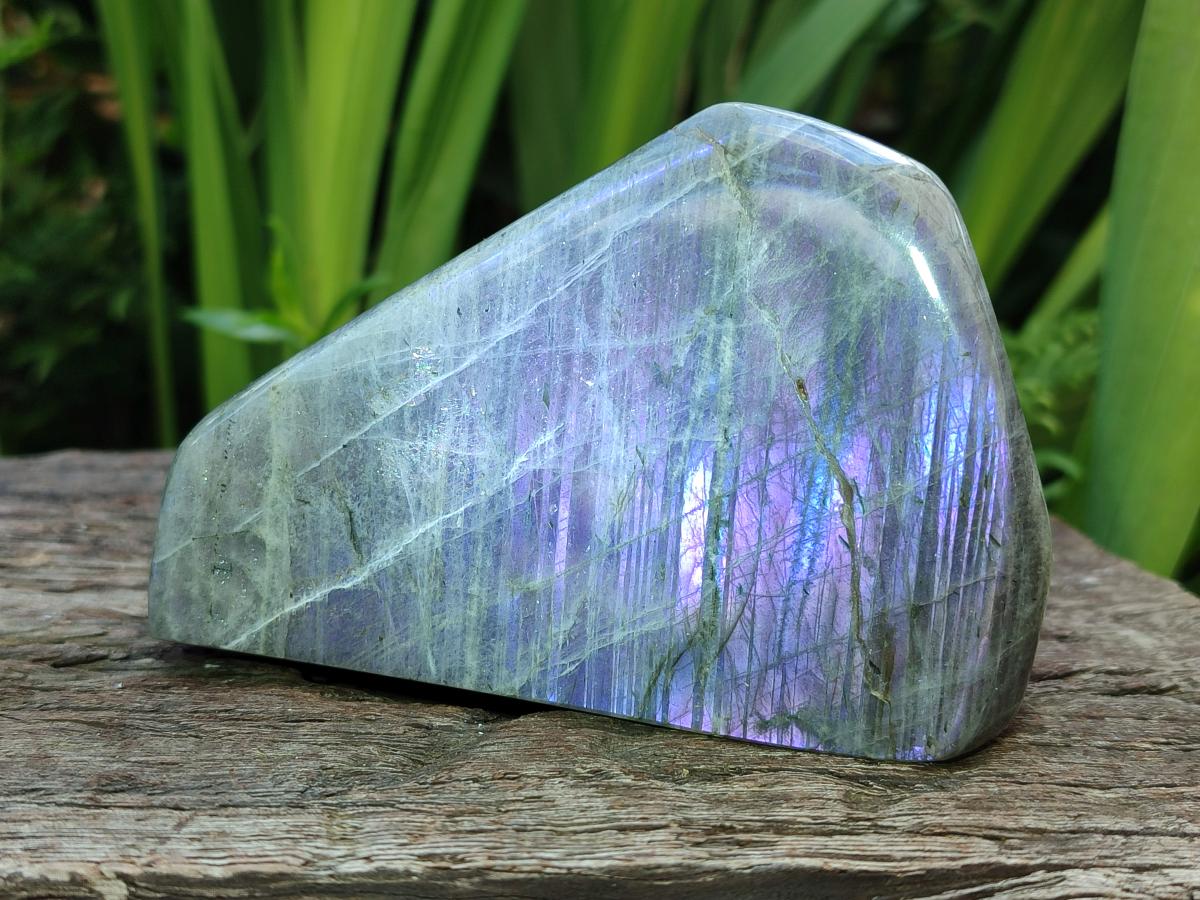Polished Rare Purple Sunset Flash Labradorite Standing Free Forms x 2 From Madagascar