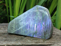 Polished Rare Purple Sunset Flash Labradorite Standing Free Forms x 2 From Madagascar