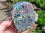 Polished Rare Purple Sunset Flash Labradorite Standing Free Forms x 2 From Madagascar