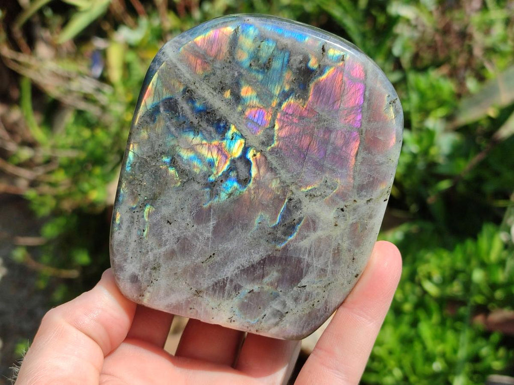 Polished Rare Purple Sunset Flash Labradorite Standing Free Forms x 2 From Madagascar