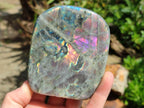 Polished Rare Purple Sunset Flash Labradorite Standing Free Forms x 2 From Madagascar