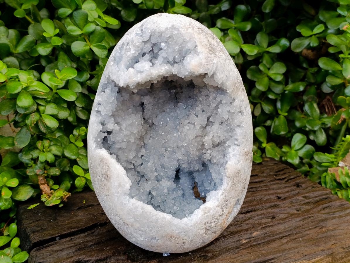 Polished XL Blue Celestite Crystal Geode Egg x 1 From Sakoany, Madagascar