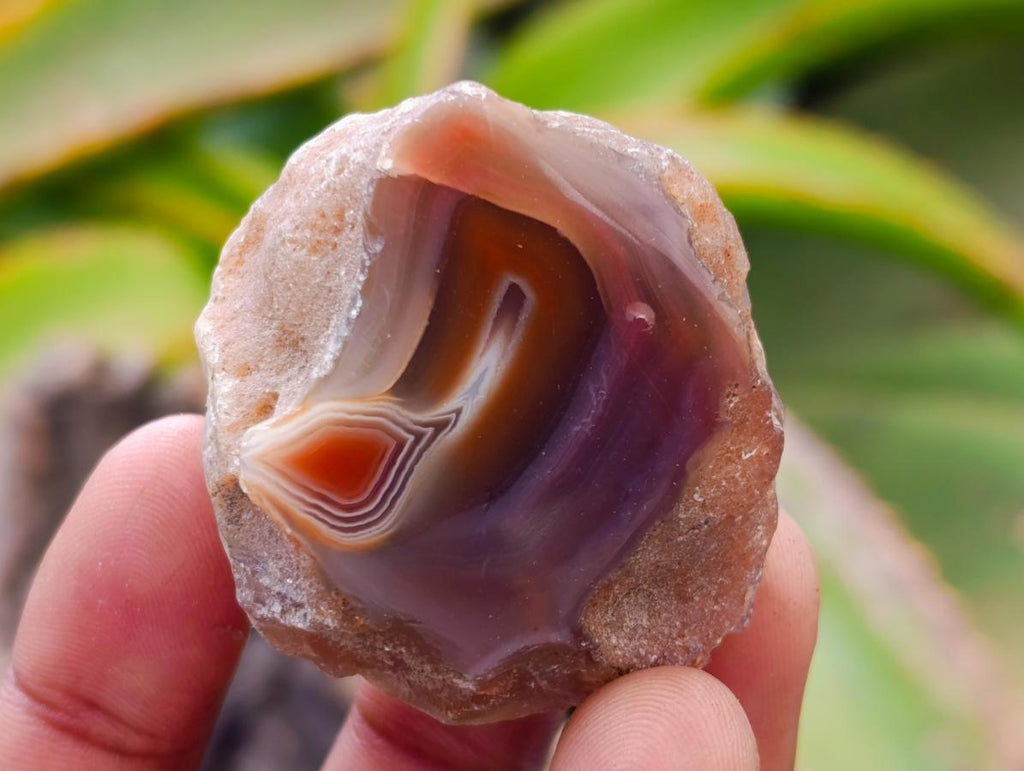 Polished Red Shashe River Agate Nodules x 35 From Shashe River, Zimbabwe