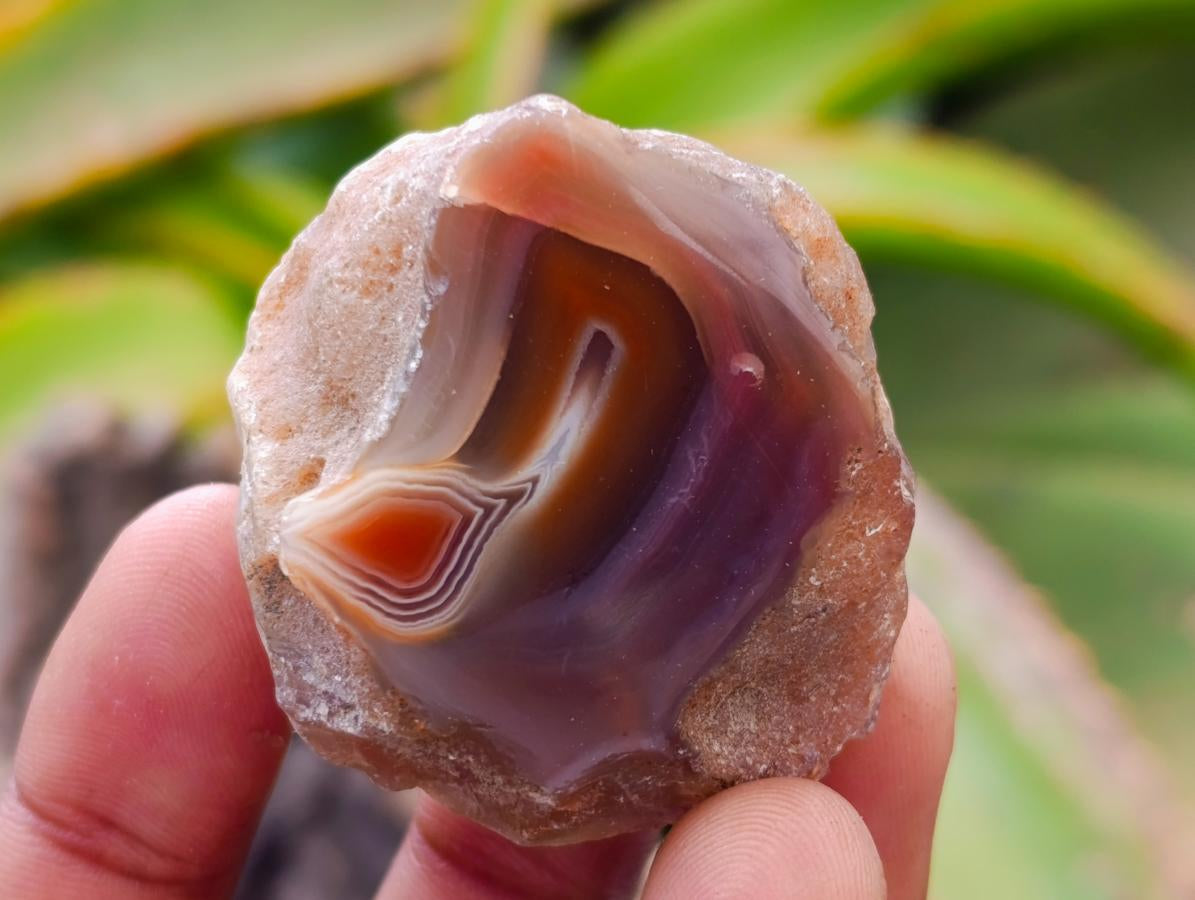 Polished Red Shashe River Agate Nodules x 35 From Shashe River, Zimbabwe