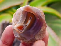 Polished Red Shashe River Agate Nodules x 35 From Shashe River, Zimbabwe