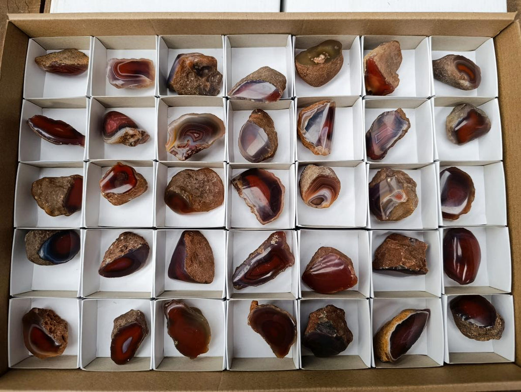 Polished Red Shashe River Agate Nodules x 35 From Shashe River, Zimbabwe