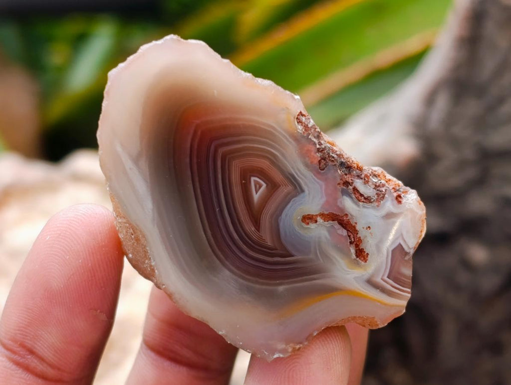 Polished Red Shashe River Agate Nodules x 35 From Shashe River, Zimbabwe