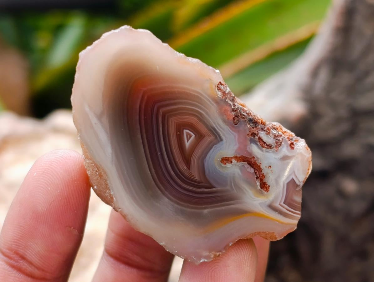 Polished Red Shashe River Agate Nodules x 35 From Shashe River, Zimbabwe