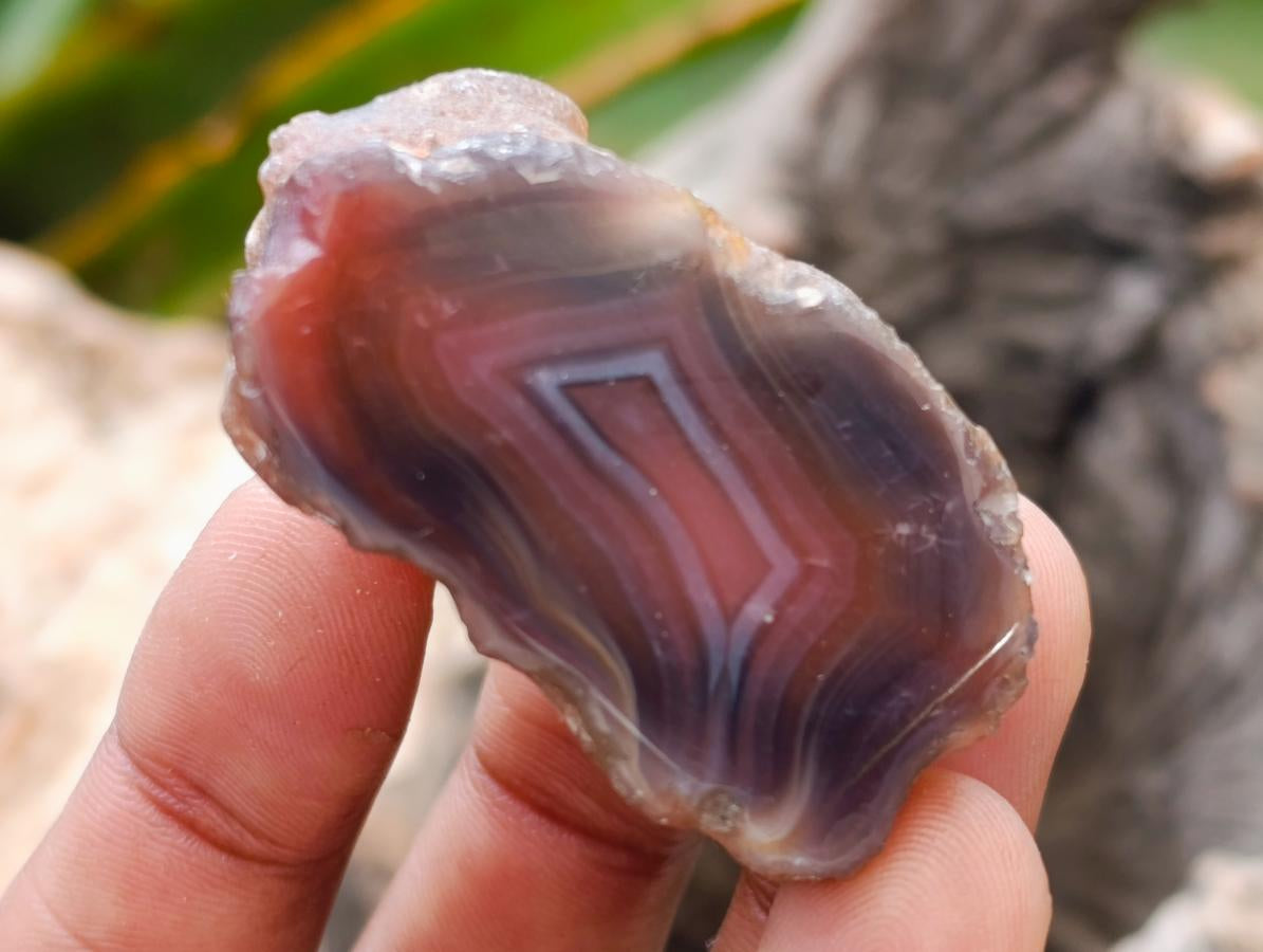 Polished Red Shashe River Agate Nodules x 35 From Shashe River, Zimbabwe