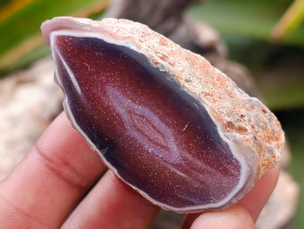Polished Red Shashe River Agate Nodules x 35 From Shashe River, Zimbabwe