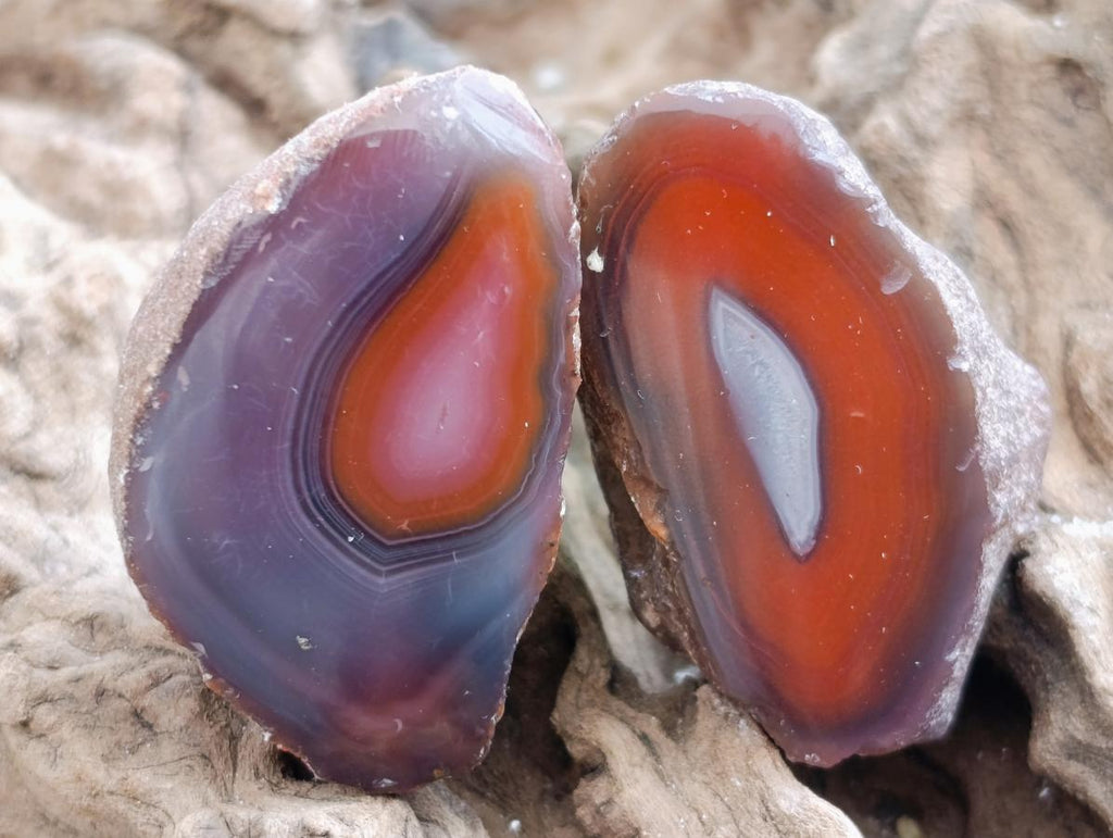 Polished Red Shashe River Agate Nodules x 35 From Shashe River, Zimbabwe