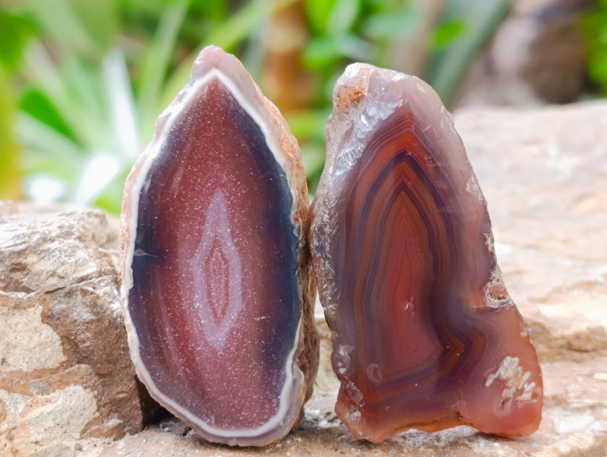 Polished Red Shashe River Agate Nodules x 35 From Shashe River, Zimbabwe