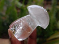 Polished Clear Quartz Mushrooms x 12 From Madagascar
