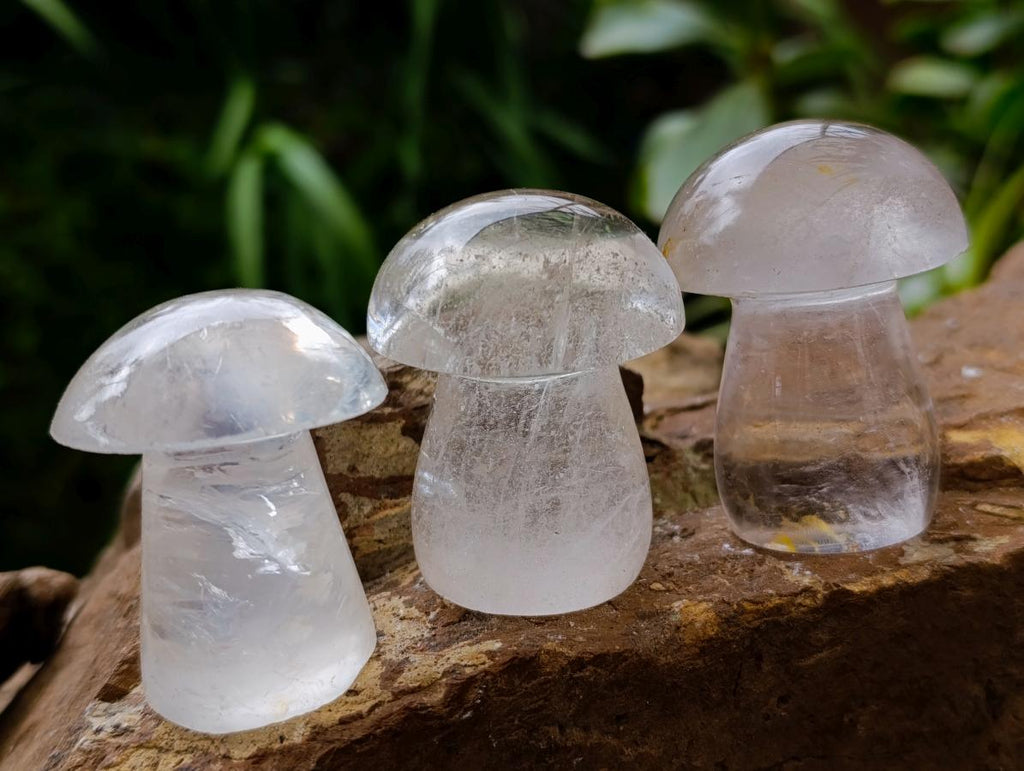 Polished Clear Quartz Mushrooms x 12 From Madagascar