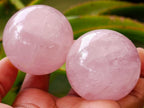 Polished Gemmy Star Rose Quartz Spheres x 12 From Madagascar