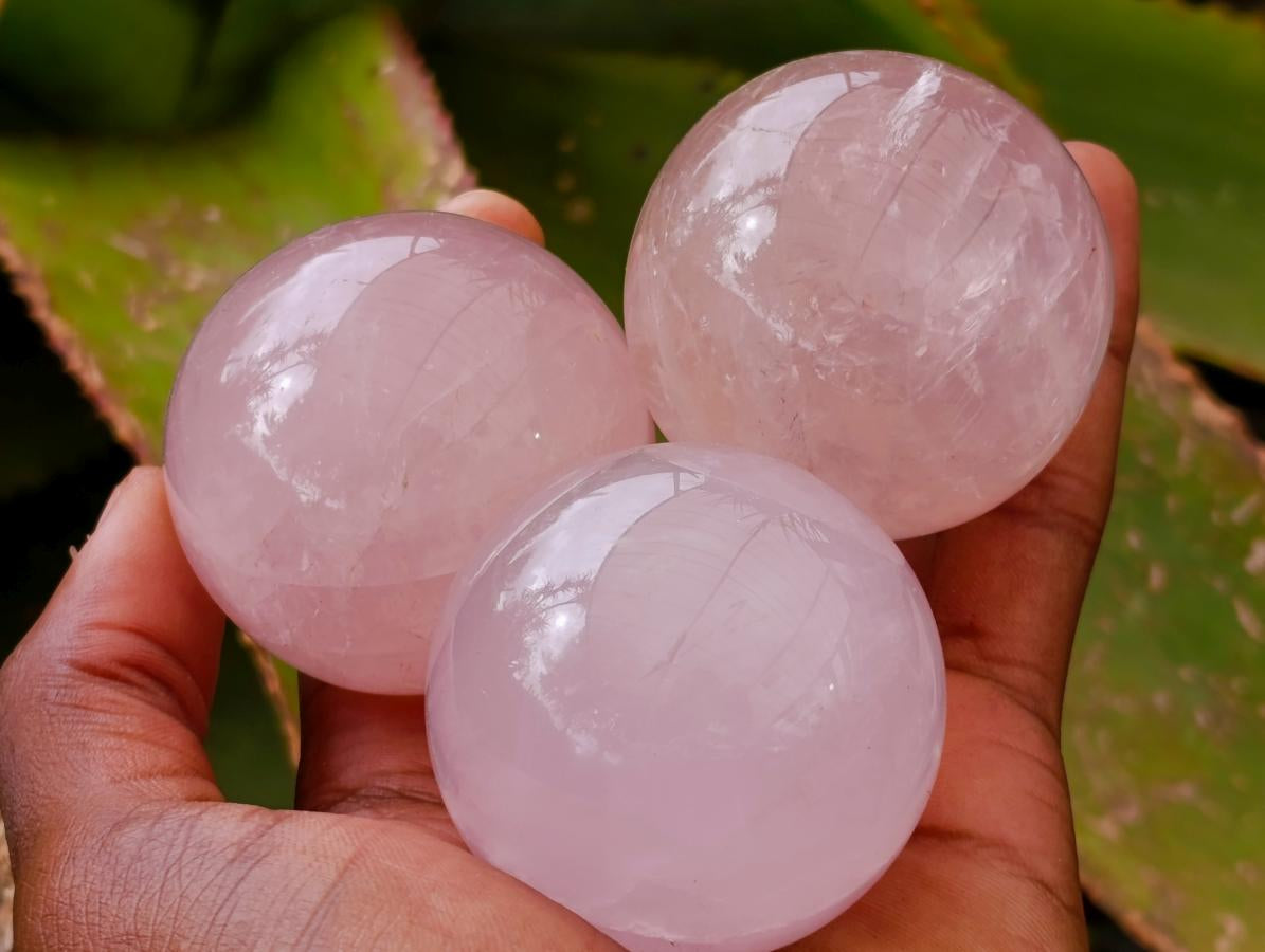 Polished Gemmy Star Rose Quartz Spheres x 12 From Madagascar